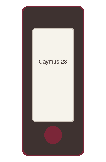 Caymus Vineyards Cabernet Sauvignon bottle illustration